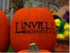 Pumpkins, Apples & Pie, Oh My!
