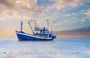 Bryce Babson of Maine on Sustainable Fishing and Public Land Conservation: Striking a Balance Bryce Babson of Maine