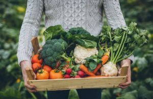 Preserving the Bounty: James Breuhl Offers Techniques for Keeping Your Fresh Foods Fresh Longer