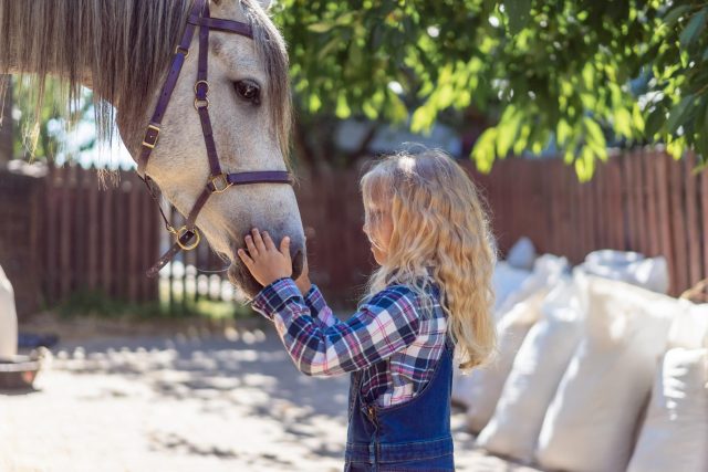 Freddie Vasquez Jr Horse Riding for Children