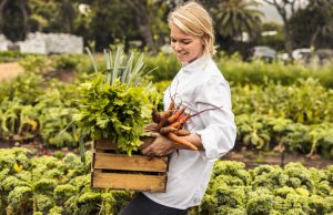 Scott D Laurent of California: Farm-to-Table in California – How Local Farms are Shaping the State’s Culinary Scene Scott D Laurent of California Farm-to-Table in California
