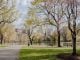 The Heart of University City for Students and Professionals