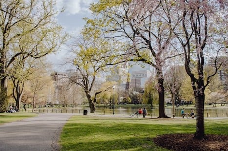 The Heart of University City for Students and Professionals