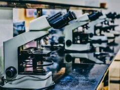 Using Polyclonal Antibodies and Peptides Together for Advanced Protein Detection