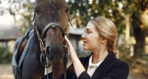 Training vs Ownership: How Law Defines Responsibility in Third-Party Handling Scenarios